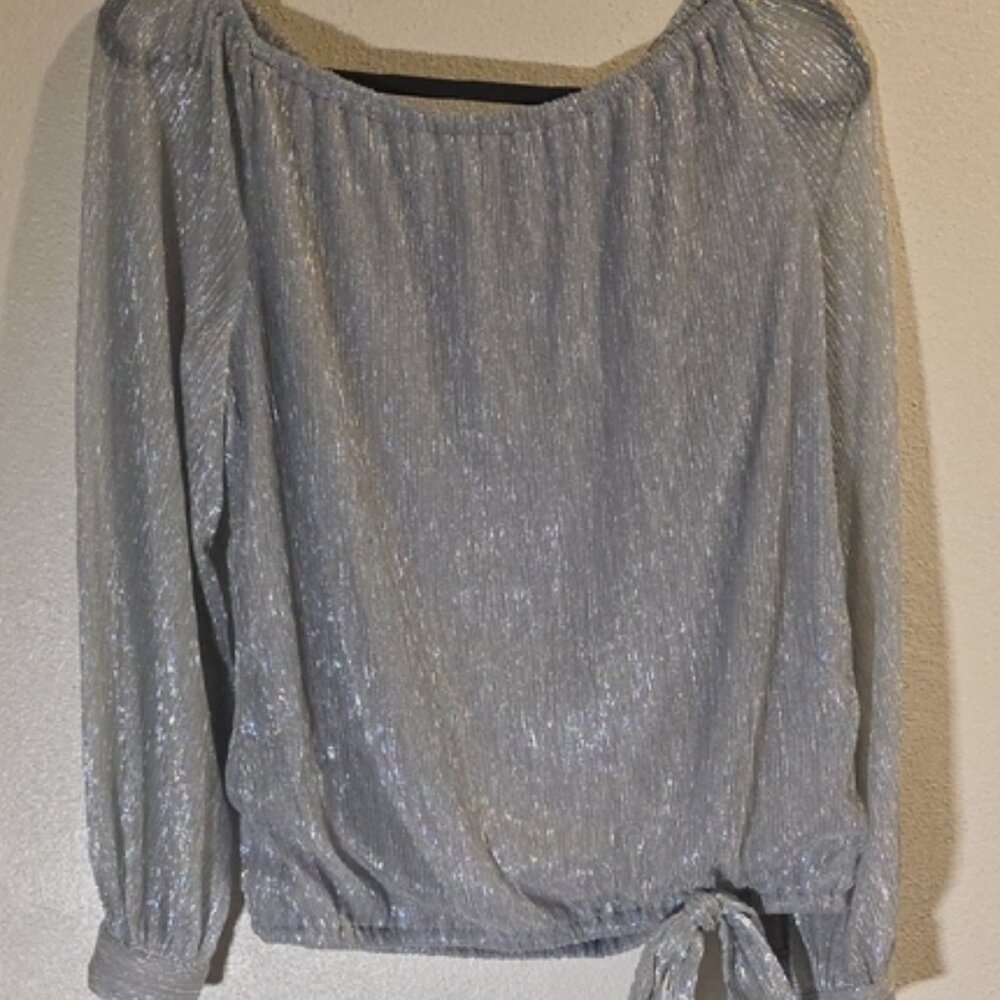 Shimmery Silver Top
